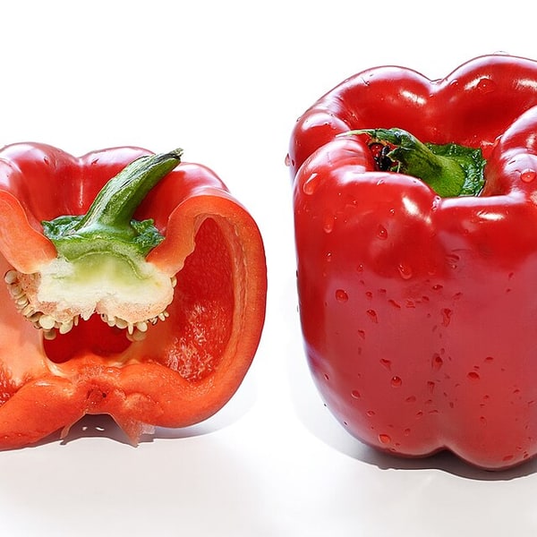 Capsicum Seed