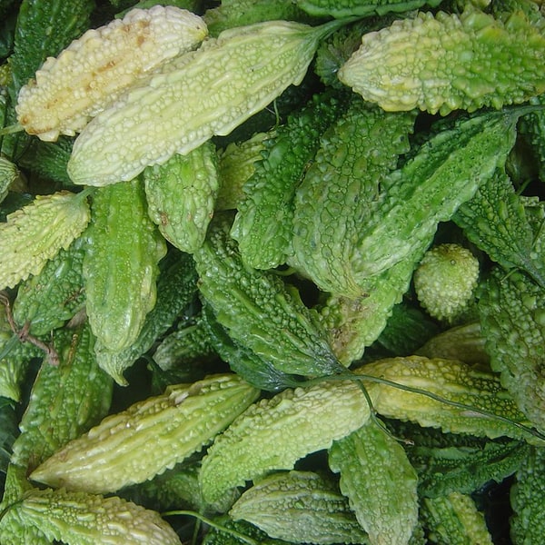 Bitter Gourd Seed
