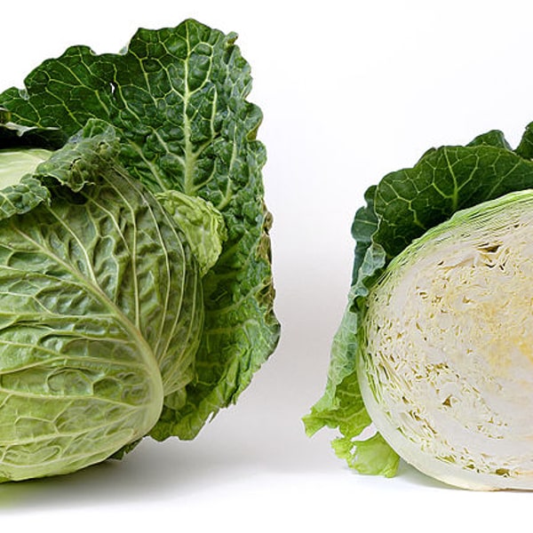 Hybrid Cabbage Seed