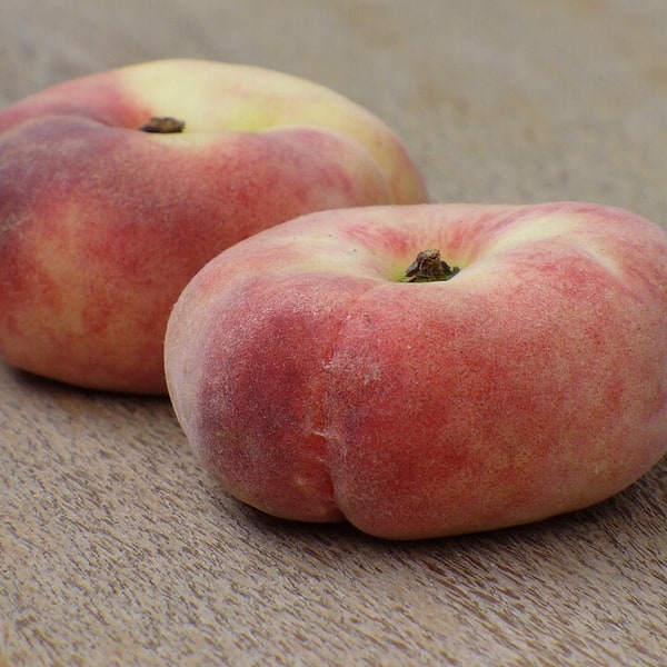 Peach Seed for planting