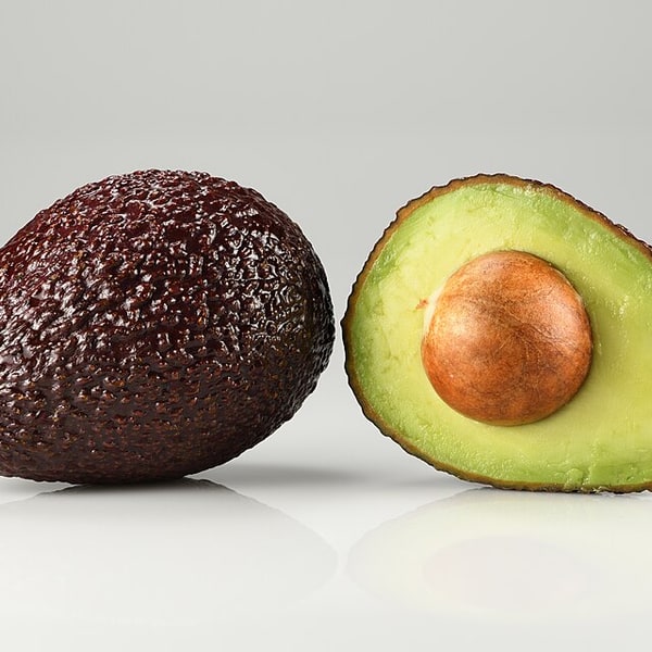 Avocado Seed for planting