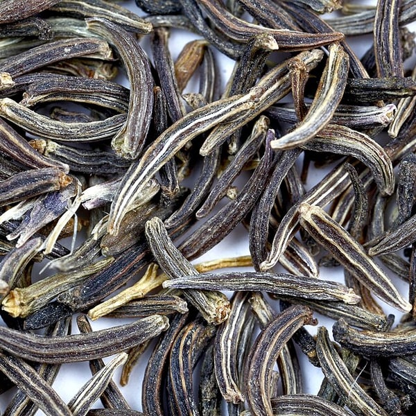 Black Cumin Seed for planting