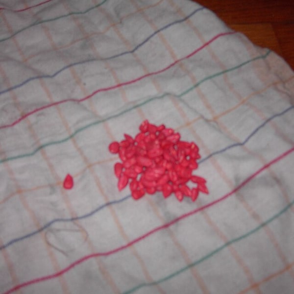 Seed Balls for planting