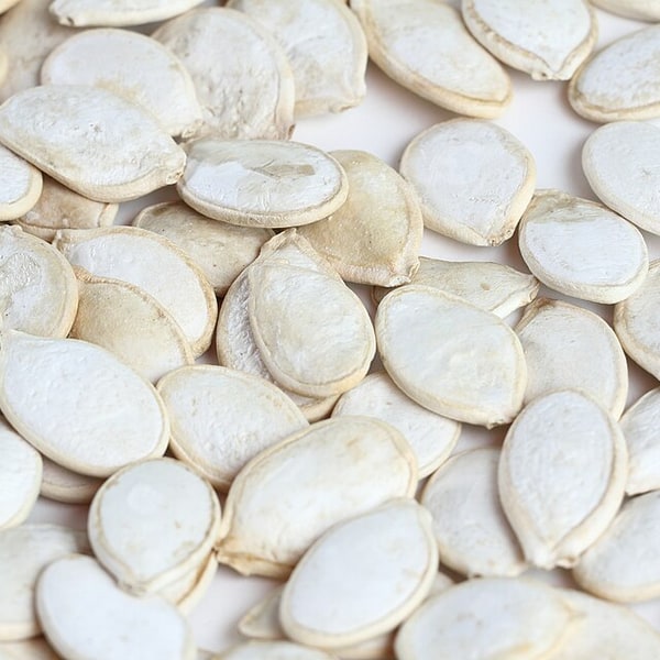 Hybrid Seed Mix for sowing
